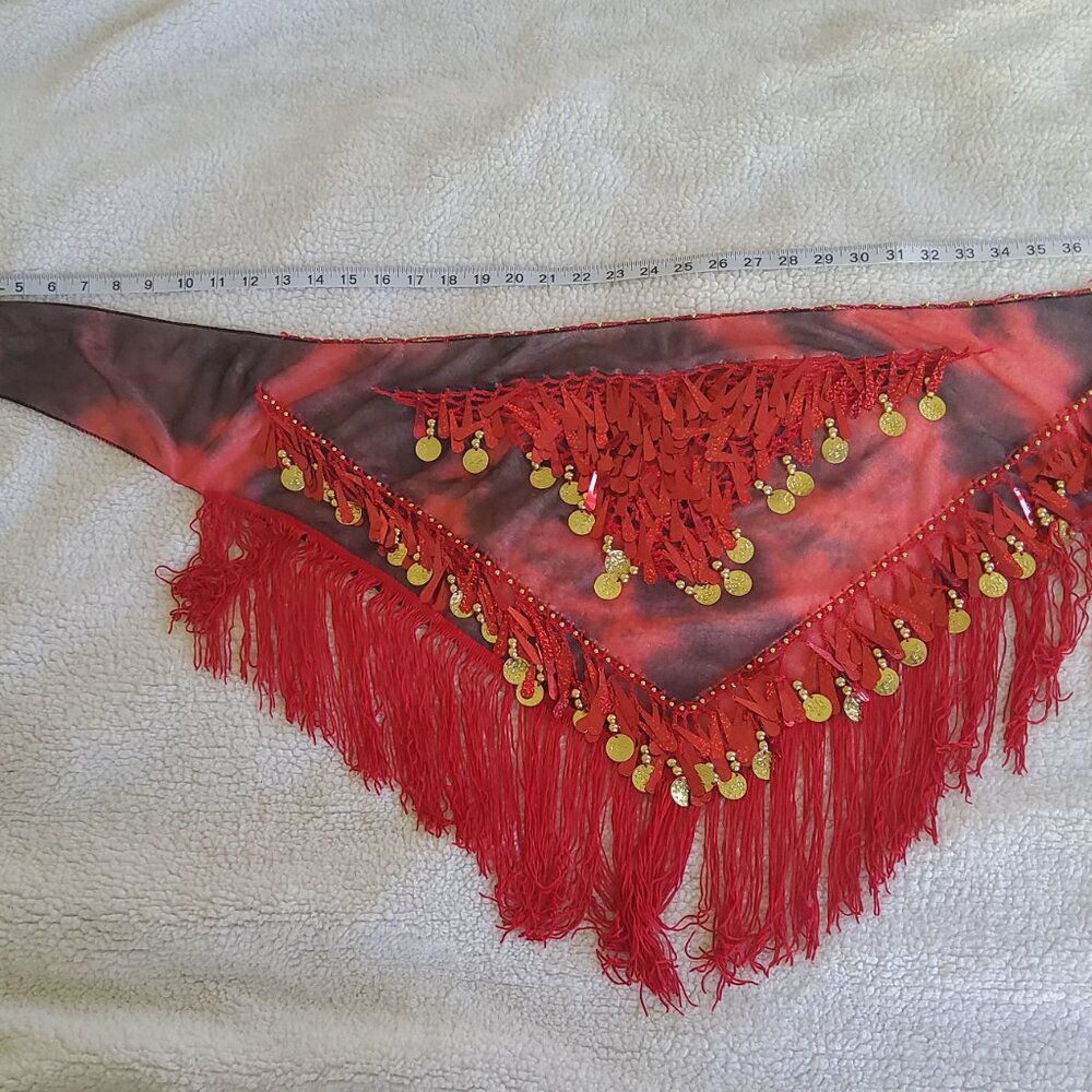 🆕️ Hip Scarf with Tassels Sequins, Triangle Coins Wrap Skirt NWOT - Picture 2 of 5